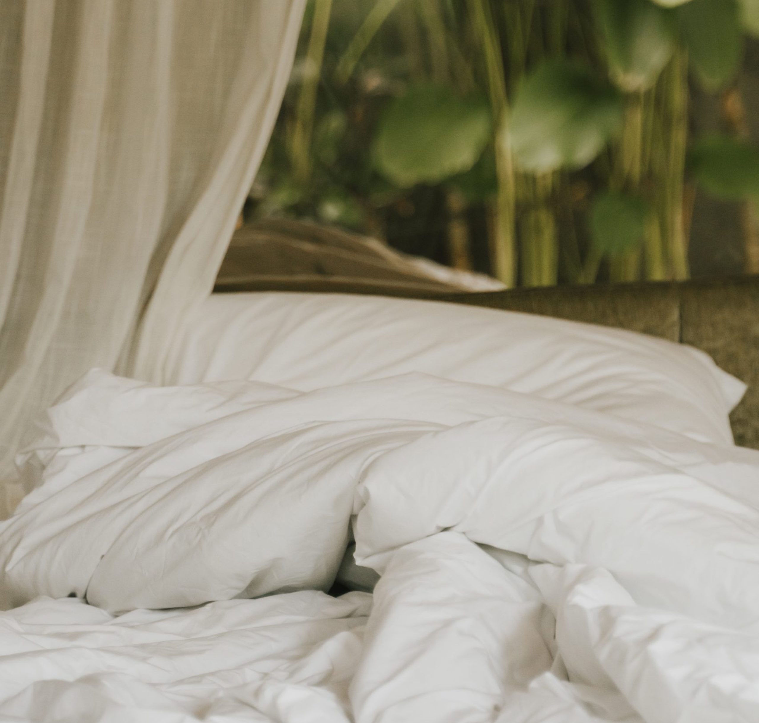 Bali tropical bedroom.White blanket and pillow with palm trees background in tropical Bali style